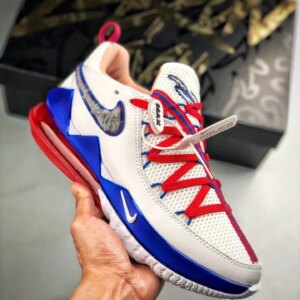 Nike LeBron 17 Low Tune Squad CD5007-100 For Sale