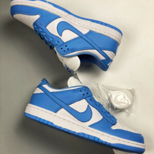 Nike Dunk Low White University Blue-White DD1391-102 For Sale