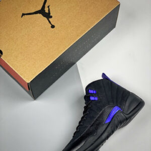 Air Jordan 12 Dark Concord CT8013-005 For Sale