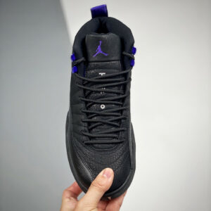 Air Jordan 12 Dark Concord CT8013-005 For Sale