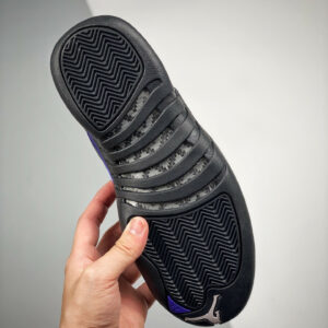 Air Jordan 12 Dark Concord CT8013-005 For Sale