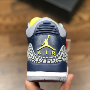 Air Jordan 3 Michigan PE For Sale