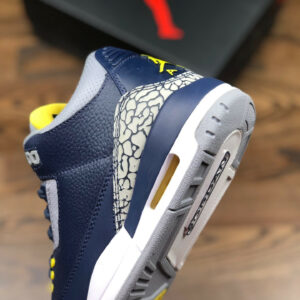 Air Jordan 3 Michigan PE For Sale