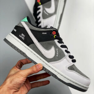 Nike SB Dunk Low Camcorder CV1659-001 For Sale